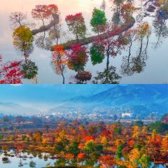 Sage Hall Homestay User Photo