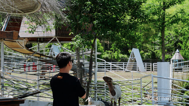 Bubu Bear Ecological Farm