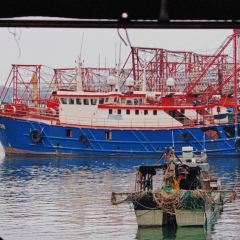 企沙渔港 User Photo