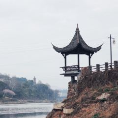 两棵树馄饨店(渔梁住保小区店) User Photo