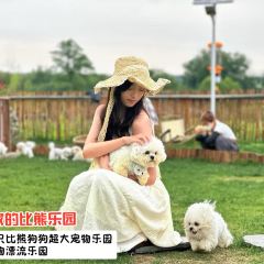 月亮湾樽前月下民宿·酒吧 User Photo
