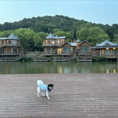 无隐民宿·奇思妙想营 User Photo