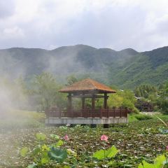 長興景瀾富硒山居酒店·知竹餐廳張用戶圖片