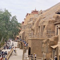 杨记干粮 User Photo