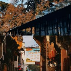 徐记煨盐鸡 User Photo