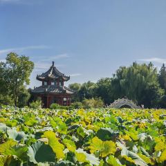 淀里船宴(复兴路店) User Photo