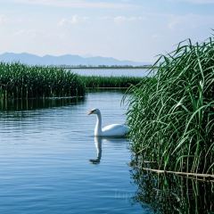 肖家饸饹面总店(郑州总店) User Photo