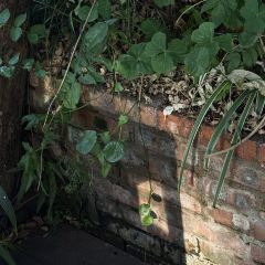 筱筱家張用戶圖片