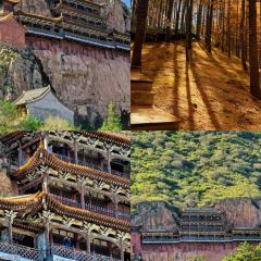 Mr chai Noodle User Photo