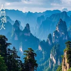 Tang you ba ba User Photo