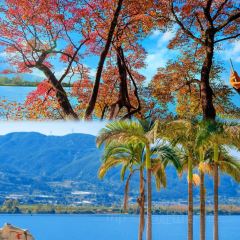 胡四哥特色火盆烧烤(总店) User Photo