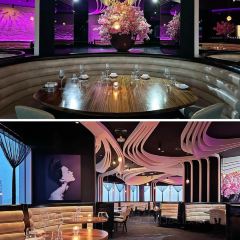 STK Doha User Photo