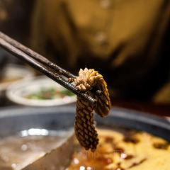 Xiaorongchenghuoguo·chengdulaoweidao User Photo