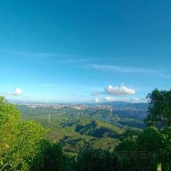 漢堡王(惠陽星河店)張用戶圖片