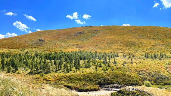 Duolun Grassland