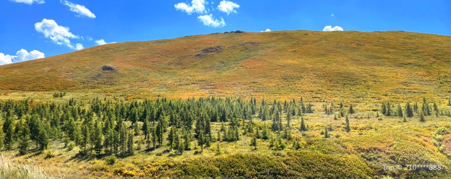 Duolun Grassland