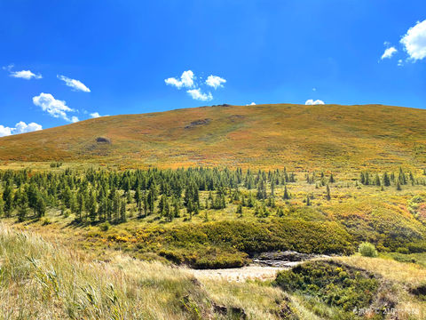 Duolun Grassland