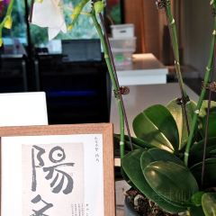 墨宴湖畔餐厅 User Photo