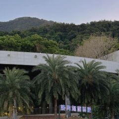 桔钓沙望月海鲜餐吧(大鹏游艇会店) User Photo