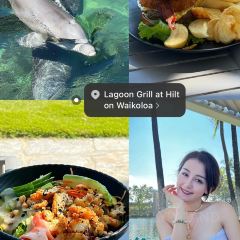 Kamuela Provision Company User Photo