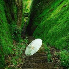 西贯味道·朱子传家菜 User Photo