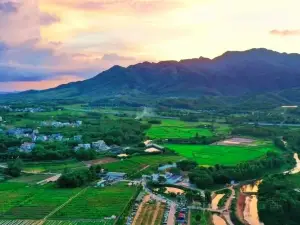 小新厨房(簕菜创意园店)