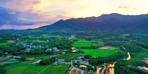 小新廚房（簕菜創意園店）