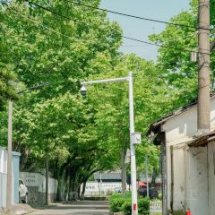 秀珍面馆·蟹面(海宁长安人民路店) User Photo