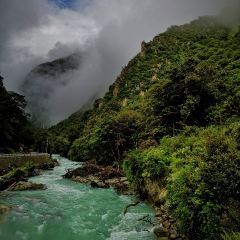 丙中洛云野·见江·餐厅 User Photo