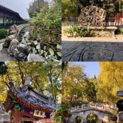 钟楼大面包 User Photo