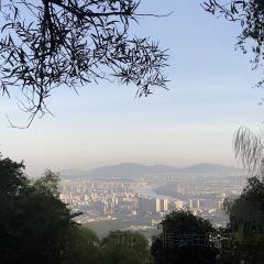 進安街大排檔張用戶圖片