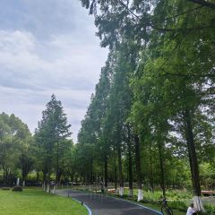 国际湖泊之家 User Photo
