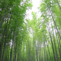 常溧面馆(嘉丰店) User Photo
