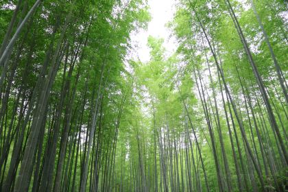 常溧麵館（嘉豐店）