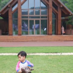 嘉兴开元森泊度假酒店·森灵岩洞餐厅 User Photo