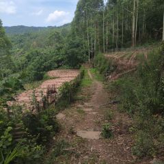 山涧别院 User Photo