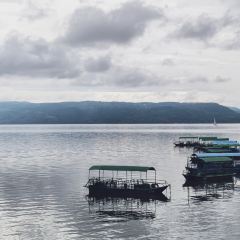 抚仙湖大知闲闲民宿·掌间 User Photo