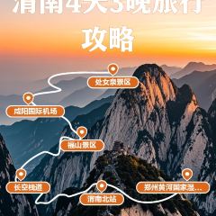 大刀面(升龙广场店) User Photo