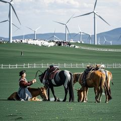 德顺源(桥华店) User Photo