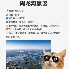 Zao Men Qian User Photo