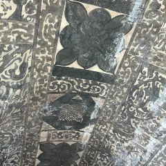 ZHENG XI WANG User Photo