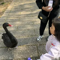 A HUA NONG ZHUANG User Photo