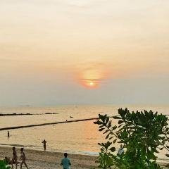 THE GLASS HOUSE SILVER User Photo