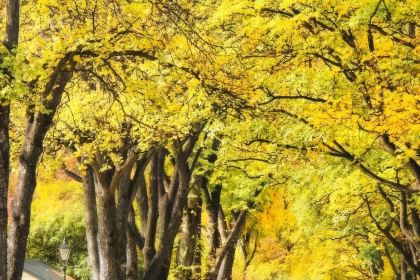 Arrowtown Bakery & Cafe