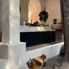 Criollo User Photo