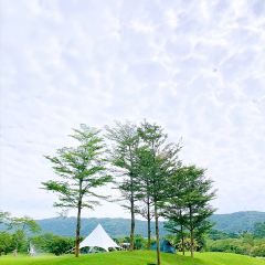 岭澜食尚 User Photo