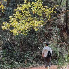 山涧别院 User Photo