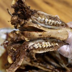 存海羊杂碎·清真 User Photo