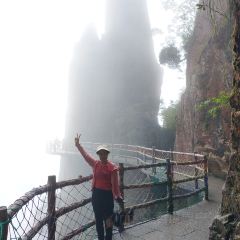莽山天台山美食 User Photo