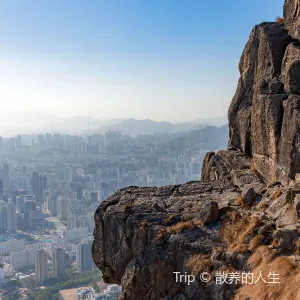 飛鵝山(602米)